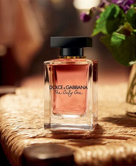 Dolce & Gabbana perfume reviews